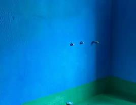 东方卫生间测漏水多少钱